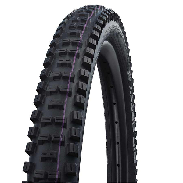 Schwalbe Big Betty Tire - 29 x 2.4 Tubeless Folding BLK Evolution Super Downhill Addix Ultra Soft