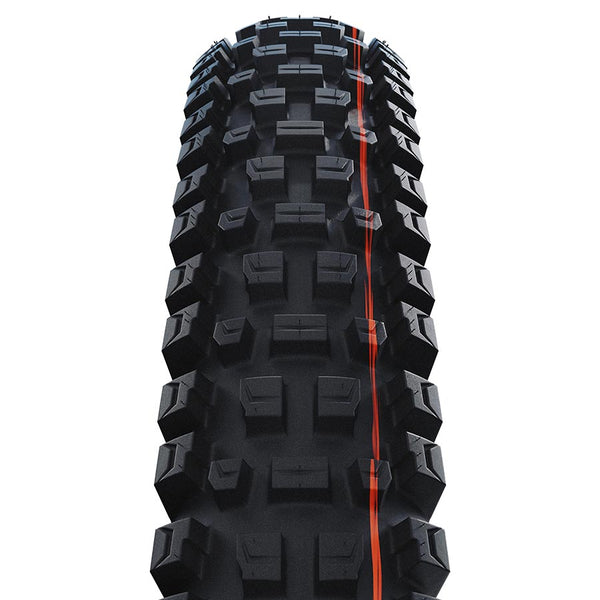 Schwalbe Albert Tire - 29 x 2.60 Tubeless Folding BLK Evolution Line Gravity Pro Addix Soft Radial E-50