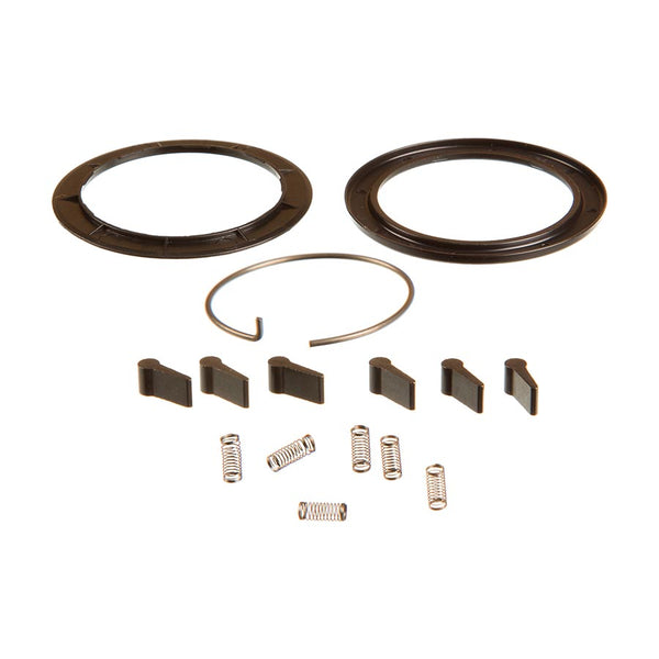 Zipp Spring and Pawl Set - ZR1
