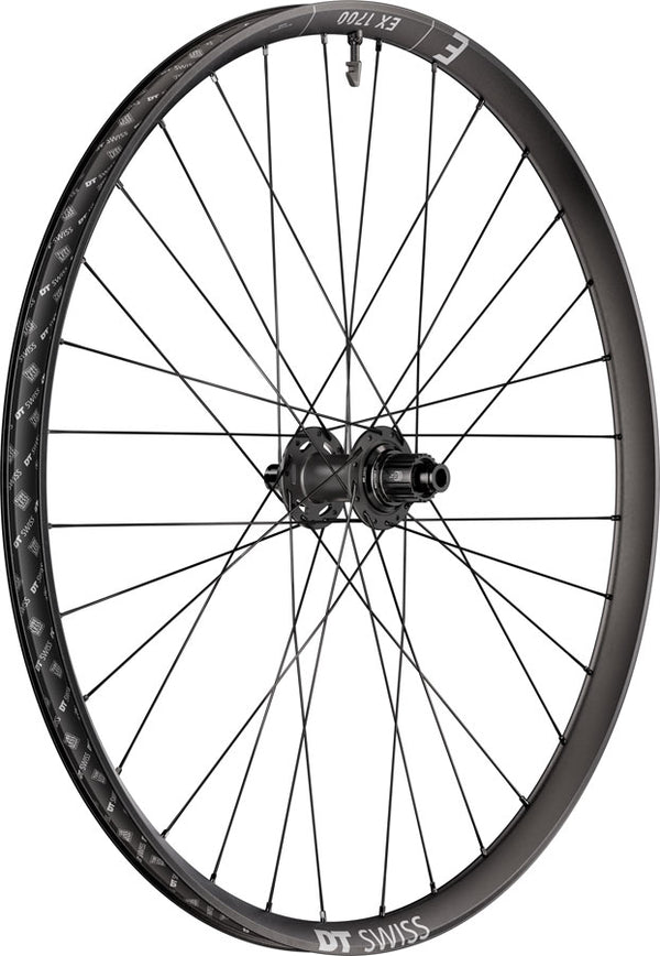 DT Swiss EX 1700 Classic 30 Rear Wheel - 29" 12 x 148mm Center-Lock Micro Spline DEG 72 DF BLK
