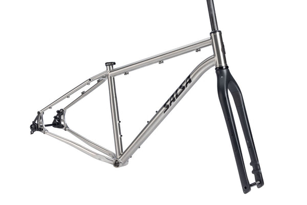 Salsa Fargo Ti Frameset - 29" Titanium Brushed Titanium X-Small