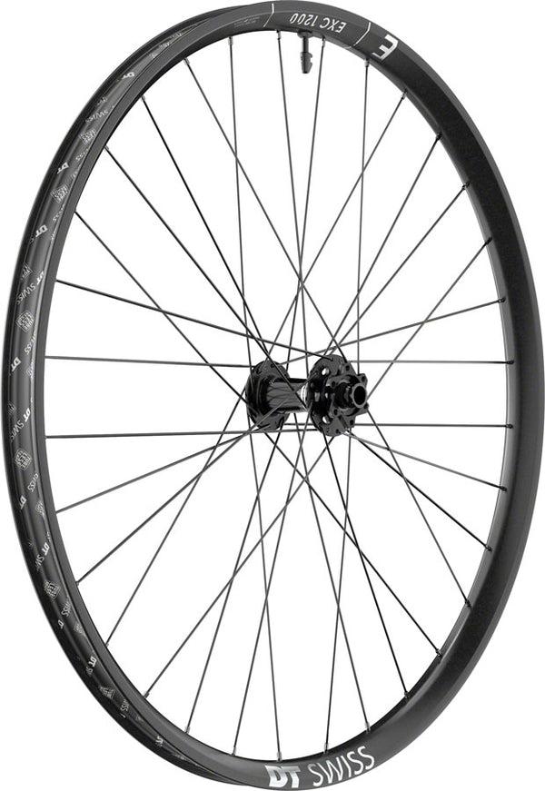 DT Swiss EXC 1200 Classic 30 Front Wheel - 29" 20 x 110mm DH Boost 6-Bolt BLK
