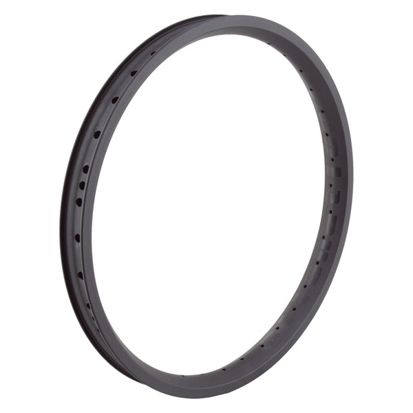 Alienation Vandal 20in 36H Rim