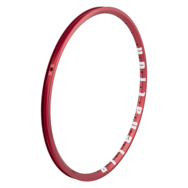 Alienation Mite G69 TCS 20in 28H Rim