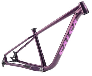 Salsa Timberjack Frame - 29