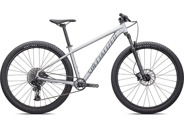 2024 Specialized rockhopper expert 27.5 bike satin silver dust / black holographic s