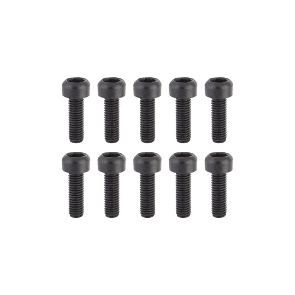 Sunlite Rust-Shield bolts M5 x 16 Braze-on bolt