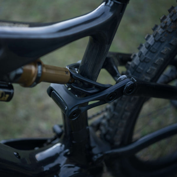 Amflow PL Carbon Pro 800Wh Electric Mountain Bike