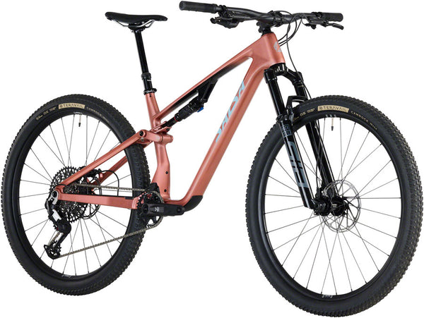 Salsa Spearfish C Eagle 90 Transmission Bike - 29" Carbon Dusty Rose Large