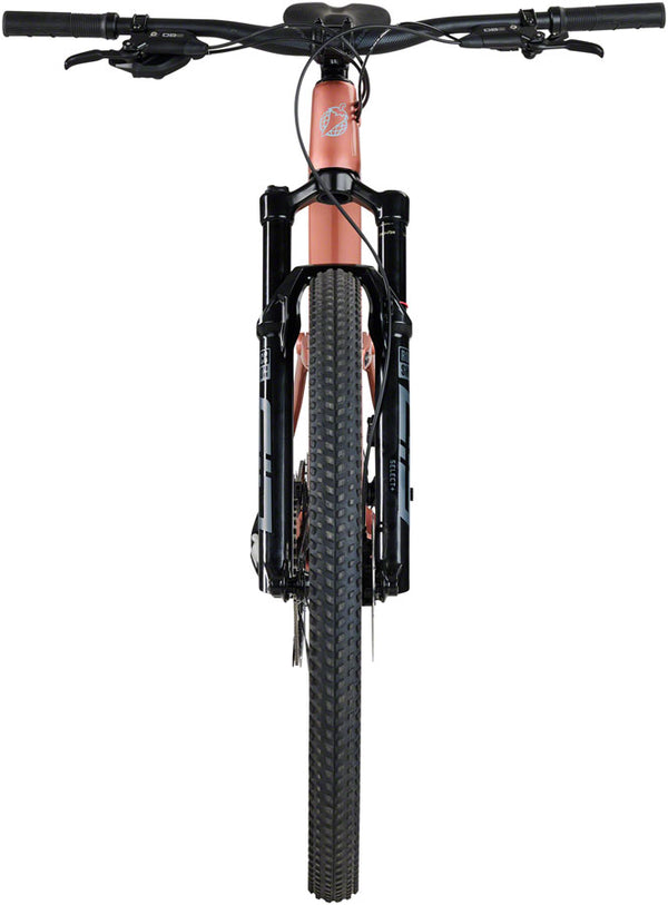 Salsa Spearfish C Eagle 90 Transmission Bike - 29" Carbon Dusty Rose Large