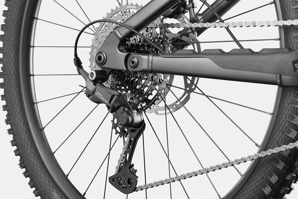 Cannondale Moterra 4