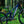Transition TR11
