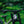 Transition TR11