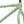 Surly Krampus Frameset - 29