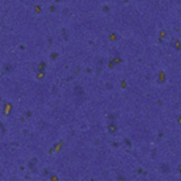 Profile Design Adhesive Cork Bar Tape - Blue