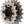 Problem Solvers Micro Spline Zinger Single Speed Conversion Kit