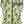 Salsa Women's Gravel Story Vest - Yellow Dark Blue X-Large