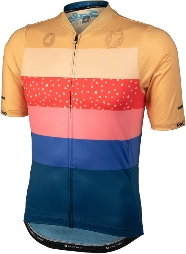 Salsa Team Polytone Mens Jersey - Goldenrod Dark Blue w/ Stripes Small