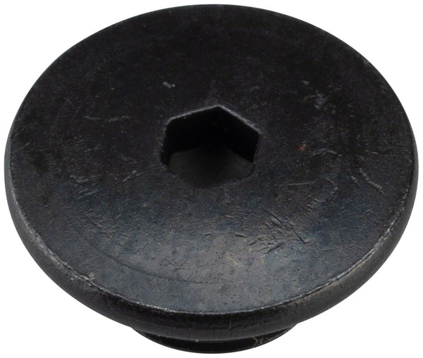 Shimano 105 ST-R7020 Hydraulic Brake/Shifter Bleed Screw and O-Ring