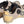 Five Ten Kestrel BOA Mountain Clipless Shoes - Women's Sand Strata/Silver Violet/Acid Orange 9.5