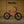 New 2027 Sunday Blueprint - Gloss Surf Pink 20.5
