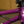 New 2027 Sunday Primer Park - Gloss Berry 20.5