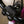 New 2027 Sunday Primer Park - Gloss Berry 20.5