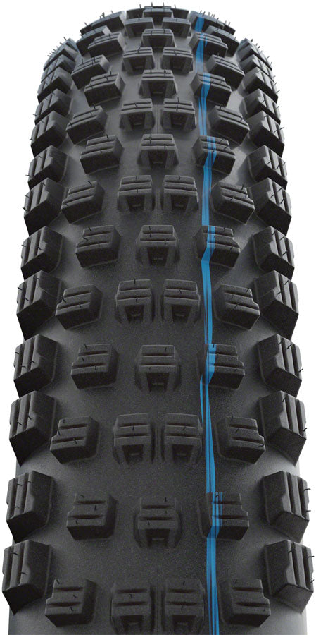 Schwalbe Wicked Will Tire - 29 x 2.4 Tubeless Folding BLK Evolution Line Super Ground Addix SpeedGrip