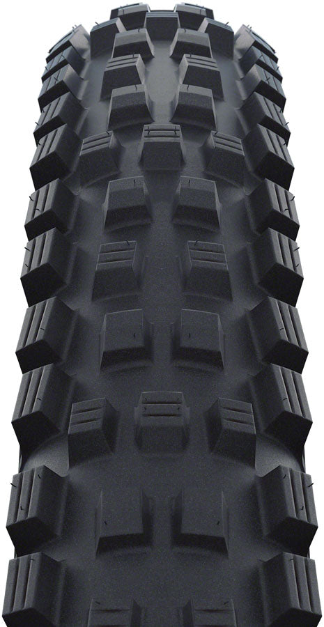 Schwalbe Magic Mary Tire - 29 x 2.4" Tubeless Folding BLK Evolution Line Addix Soft Super Trail