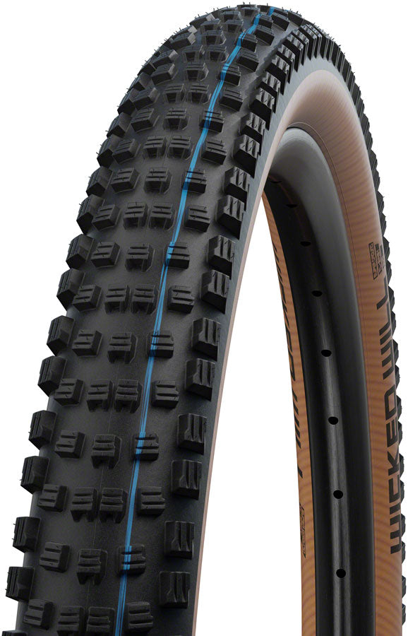 Schwalbe Wicked Will Tire - 29 x 2.25 Tubeless Folding BLK/Transparent Evolution Line Super Race Addix SpeedGrip