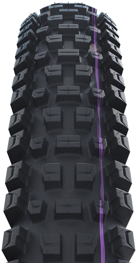 Schwalbe Albert Tire - 29 x 2.50 Tubeless Folding BLK Evolution Line Trail Pro Addix Ultra Soft Radial E-50