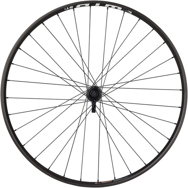 Quality Wheels Bear Pawls / WTB ST i30 Front Wheel - 29" 15 x 100 Center-Lock BLK 32H