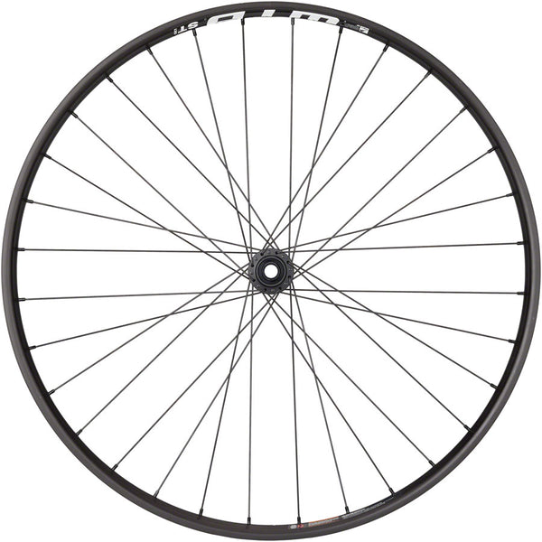 Quality Wheels Bear Pawls / WTB ST i30 Front Wheel - 29" 15 x 110mm Center-Lock BLK 32H
