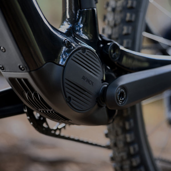 Amflow PL Carbon Pro 800Wh Electric Mountain Bike