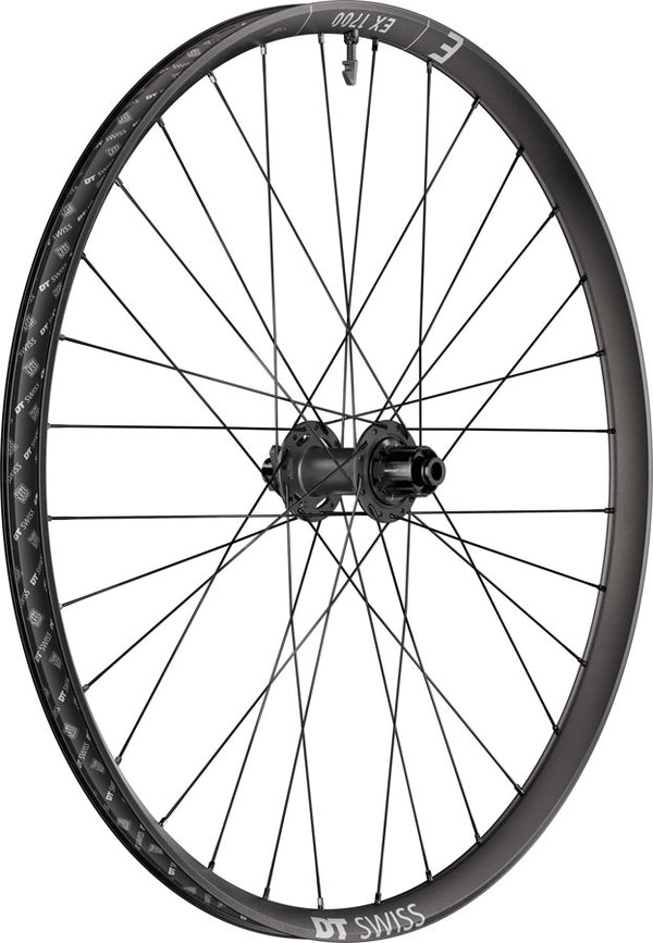 DT Swiss EX 1700 Classic 30 Rear Wheel - 29" 12 x 148mm 6-Bolt HG Slim DEG 72 DF BLK
