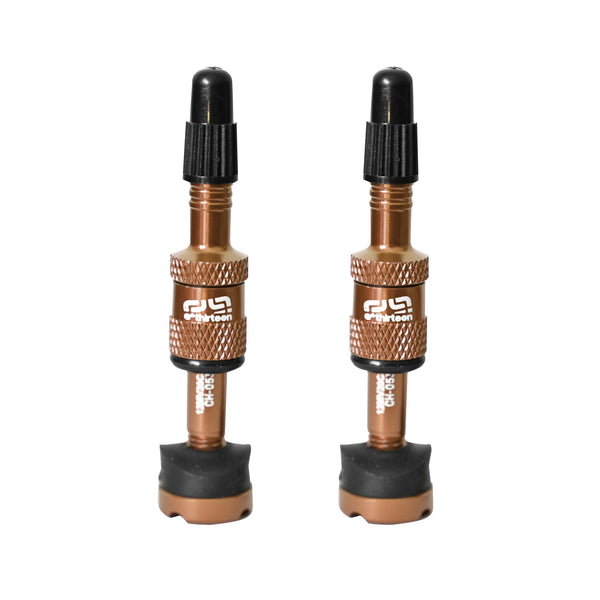 E*thirteen Quick Fill Plasma Valves(19-23mm Rim) Pair - Brz  