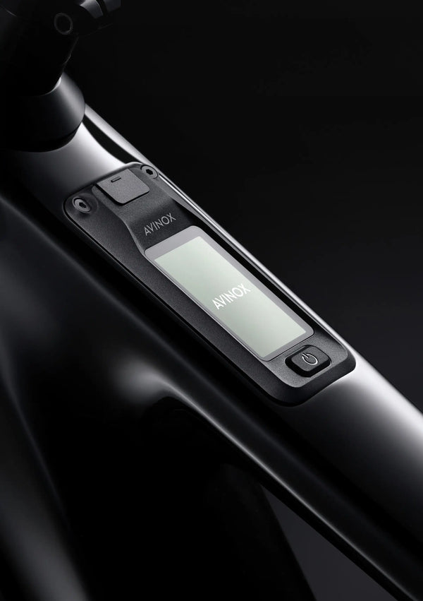 Amflow PL Carbon 800Wh Electric Mountain Bike