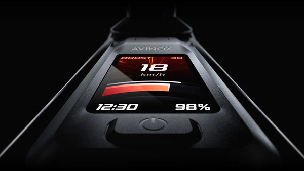 Amflow PL Carbon 800Wh Electric Mountain Bike